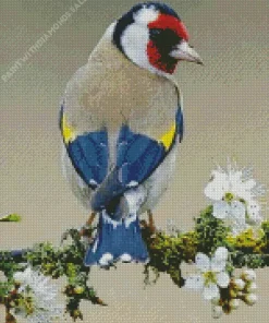 Carduelis Bird On White Flowers Diamond Painting