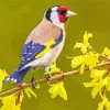 Carduelis Bird On Yellow Flowers Diamond Painting