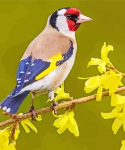 Carduelis Bird On Yellow Flowers Diamond Painting