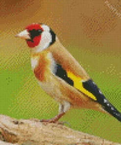 Carduelis Bird With Red Head Diamond Painting