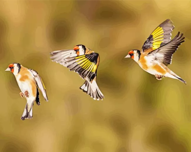 Carduelis Birds Diamond Dotz Carduelis Birds Diamond Painting