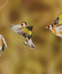 Carduelis Birds Diamond Painting