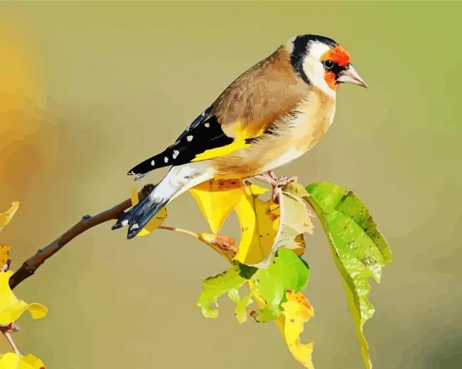 Carduelis bird Diamond With Numbers Carduelis Bird Art Diamond Painting