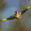 Carduelis Flying Bird Diamond Painting