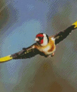 Carduelis Flying Bird Diamond Painting