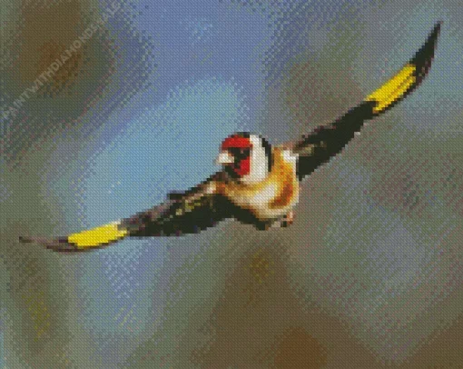 Carduelis Flying Bird Diamond Painting