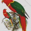 Charmosyna Bird Diamond Painting