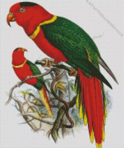 Charmosyna Bird Diamond Painting