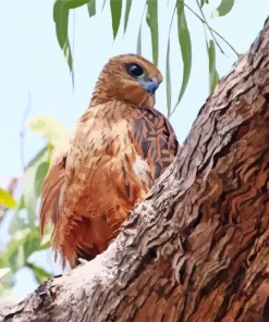 Chestnut Shouldered Goshawk Diamond Painting