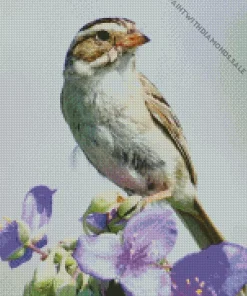 Clay Colored Sparrow Diamond Painting