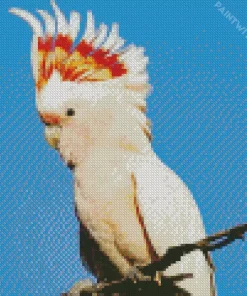 Cockatoo Diamond Painting