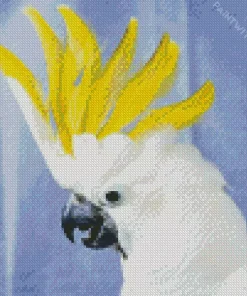 Cockatoo Bird Art Diamond Painting