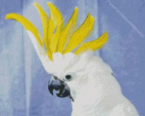 Cockatoo Bird Art Diamond Painting