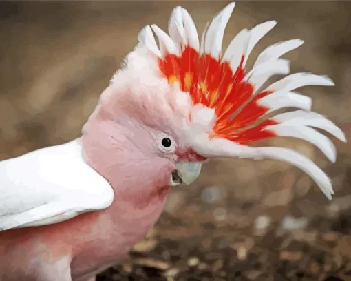 Cockatoo Bird Head Diamond Painting