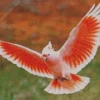 Cockatoo Flying Diamond Painting