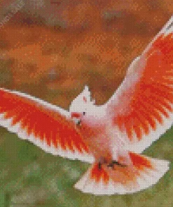 Cockatoo Flying Diamond Painting