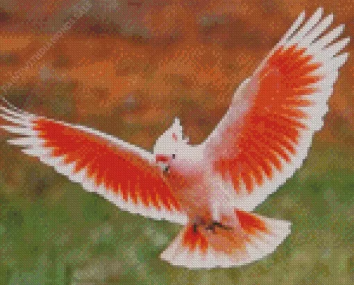 Cockatoo Flying Diamond Painting