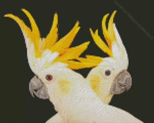 Cockatoos Diamond Painting