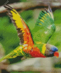 Coconut Lorikeet Flying Diamond Painting