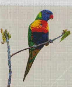 Coconut Lorikeet On A Branch Diamond Painting