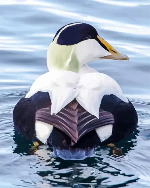 Common Eider Back Diamond Painting