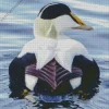 Common Eider Back Diamond Painting