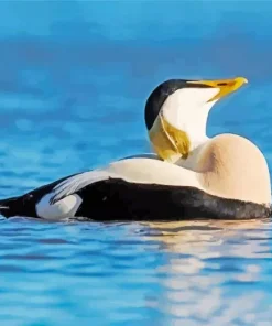 Common Eider Relaxing Diamond Painting