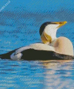 Common Eider Relaxing Diamond Painting