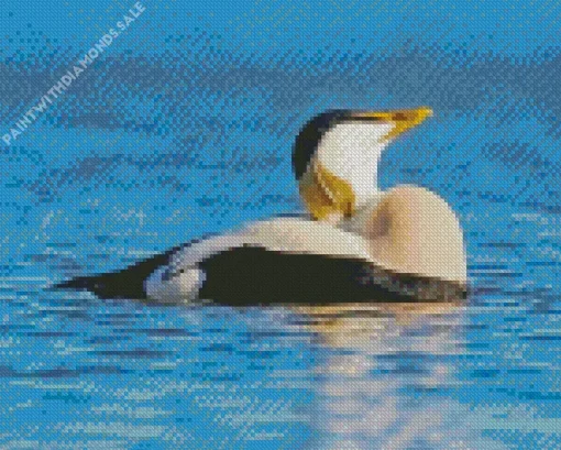 Common Eider Relaxing Diamond Painting