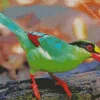 Common Green Magpie Diamond Painting