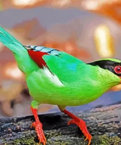 Common Green Magpie Diamond Painting