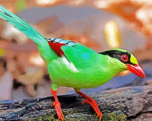 Common Green Magpie Diamond Painting