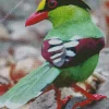 Common Green Magpie Bird Diamond Painting