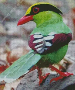 Common Green Magpie Bird Diamond Painting