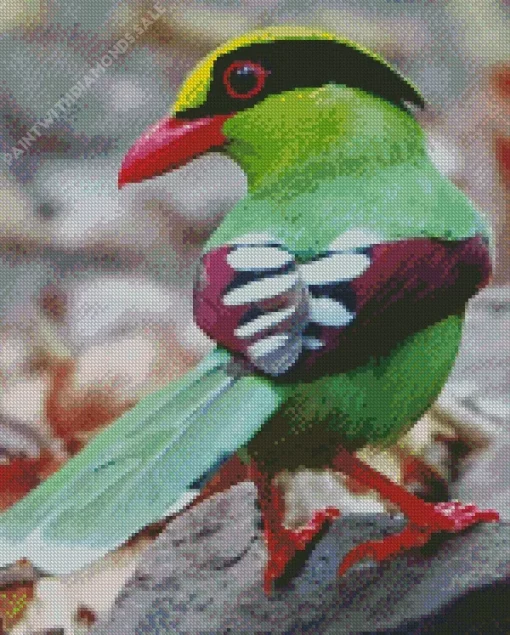 Common Green Magpie Bird Diamond Painting