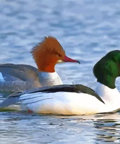 Common Merganser Couple Birds Diamond Painting