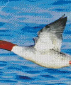 Common Merganser Flying Over A Lake Diamond Painting