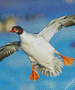 Common Merganser Flying Diamond Painting