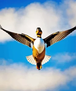 Common Merganser Flying In The Sky Diamond Painting