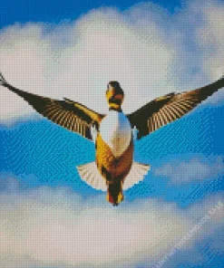 Common Merganser Flying In The Sky Diamond Painting