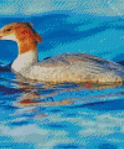 Common Merganser In A Blue Lake Diamond Painting