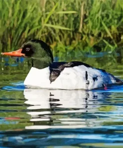 Common Merganser In A Lake Diamond Painting