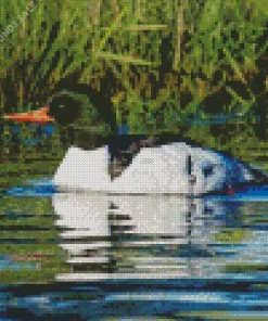 Common Merganser In A Lake Diamond Painting