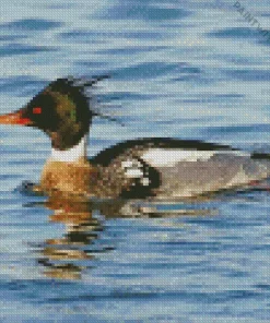 Common Merganser Swimming Diamond Painting