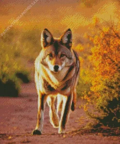 Coyote Diamond Painting