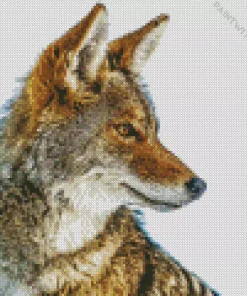 Coyote Fox Animal Diamond Painting