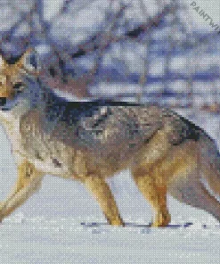 Coyote In Snow Diamond Painting