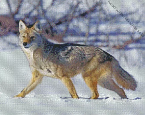 Coyote In Snow Diamond Painting