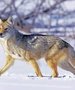 Coyote In Snow Diamond Painting