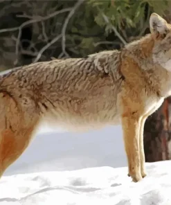 Coyote Standing In Snow Diamond Painting